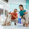 "10 Essential Tips for Keeping Your Dog Happy and Healthy"