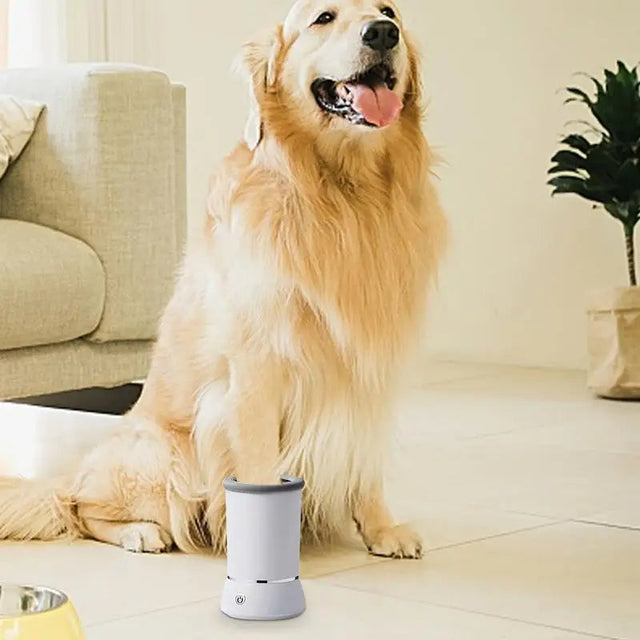 Dog Products