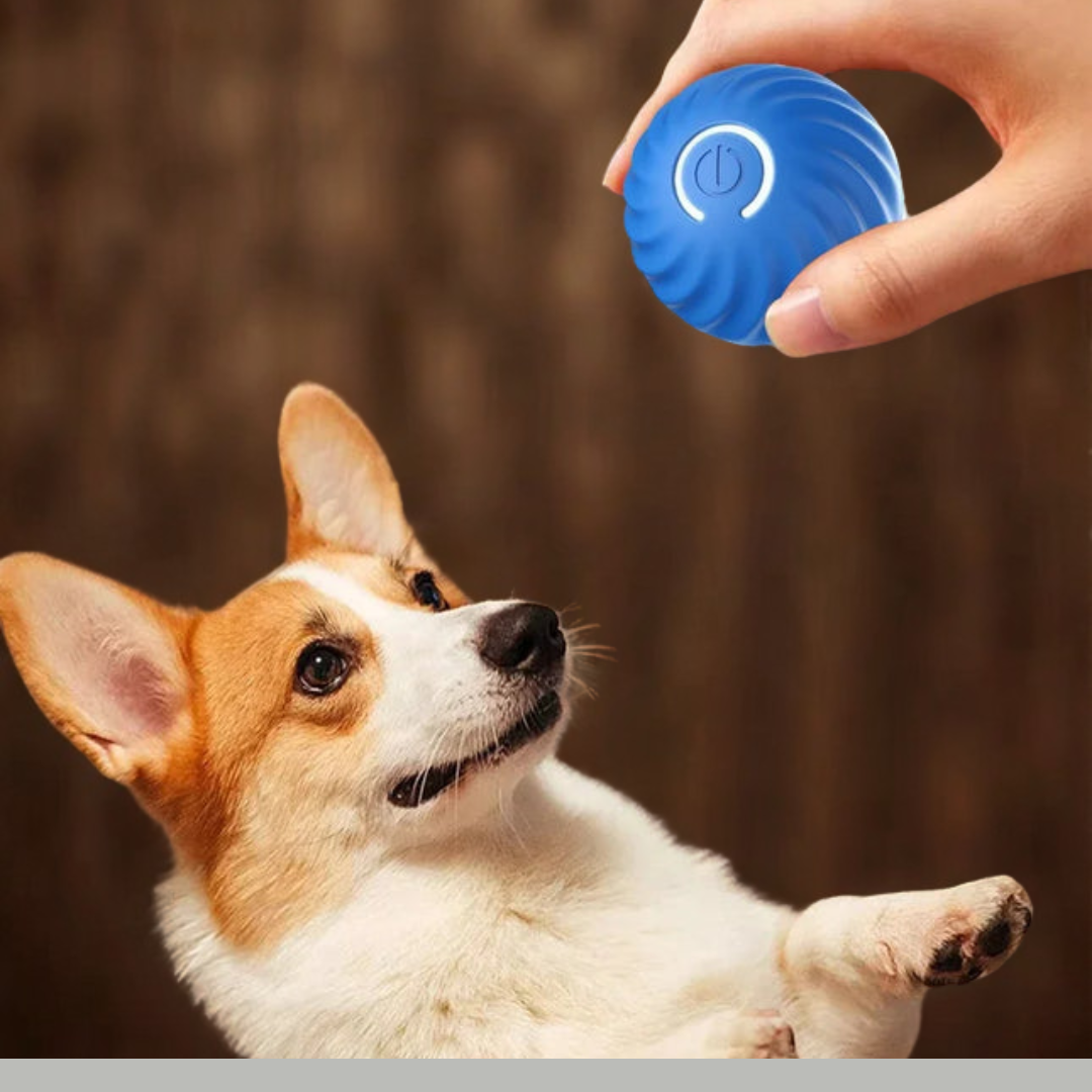 Pelota de juguete inteligente para perros