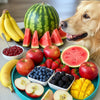 Qué frutas pueden comer los perros: Guía completa para dueños responsables