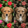 ¿De qué colores ven los perros? Guía completa para entender su visión
