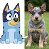 ¿Qué raza de perro es Bluey? Todo lo que debes saber
