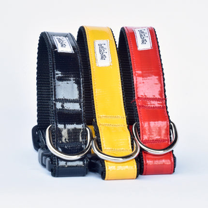 Rain Slicker Collar & Lead – Bella Bean Couture