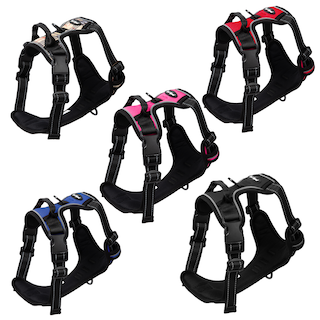 Reflective Control Harness Starter Pack