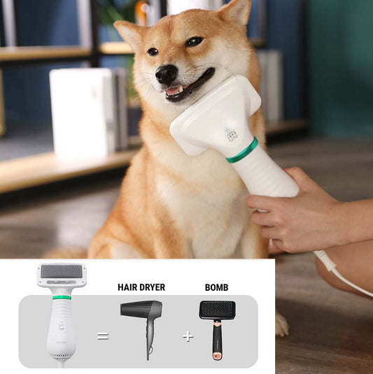 Fabulous Hair Dryer for your Dog - Best Canine Bargains