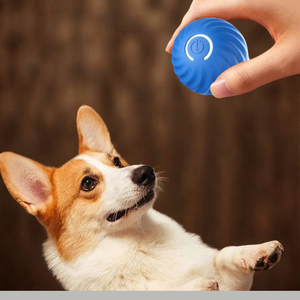 Smart Dog Toy Ball