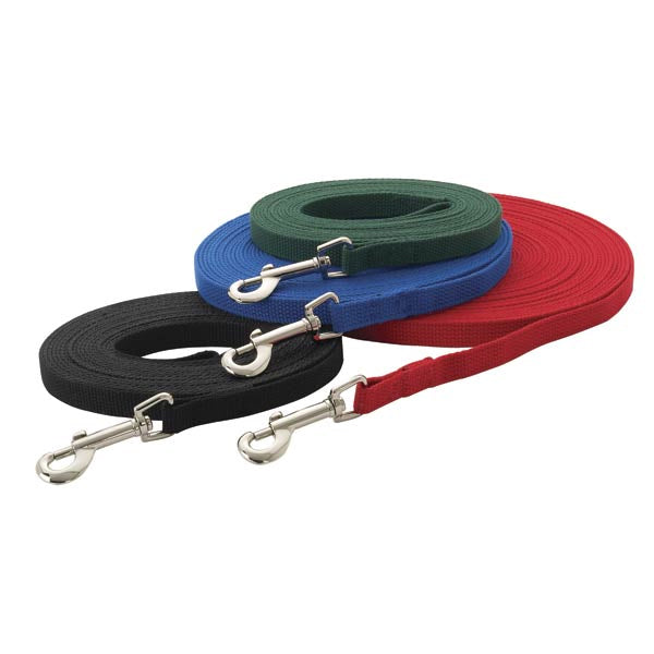 Cotton Web Training Lead