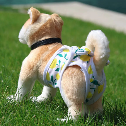 Washable Puppy Diapers