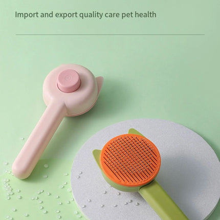 Pet Hair Remover Brush