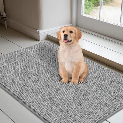 Absorbent Dog Doormat