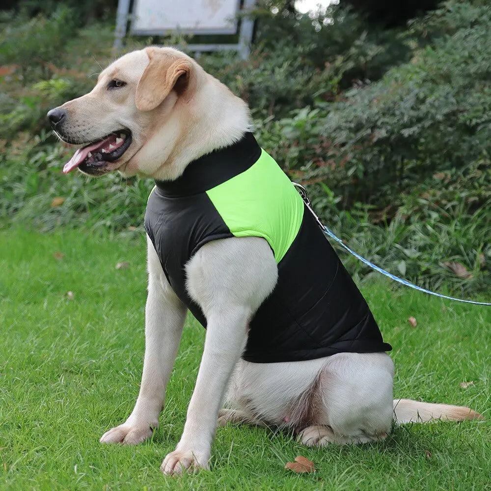 Wonderful Quilted Waterproof Padded Winter Vest for your dog. - Best Canine Bargains