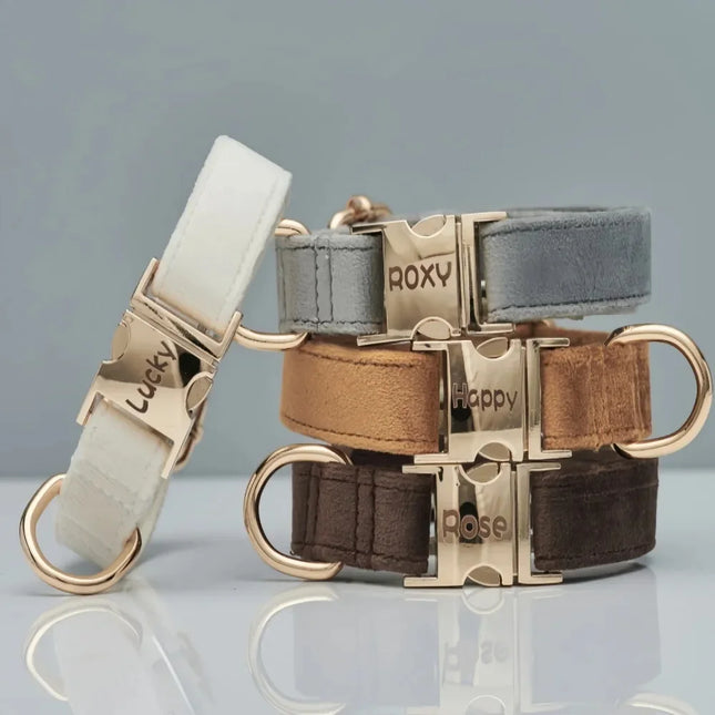 Collar y correa de terciopelo personalizados para perro con lazo
