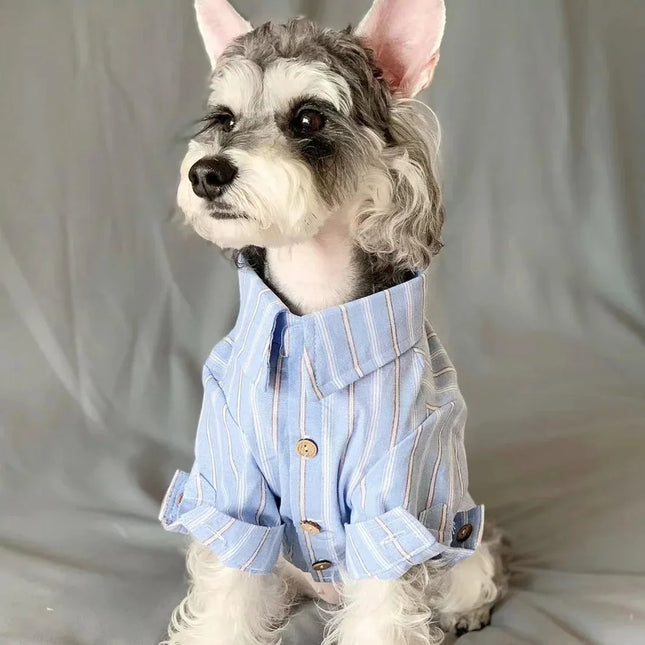 Camisa de cachorro de primavera y verano