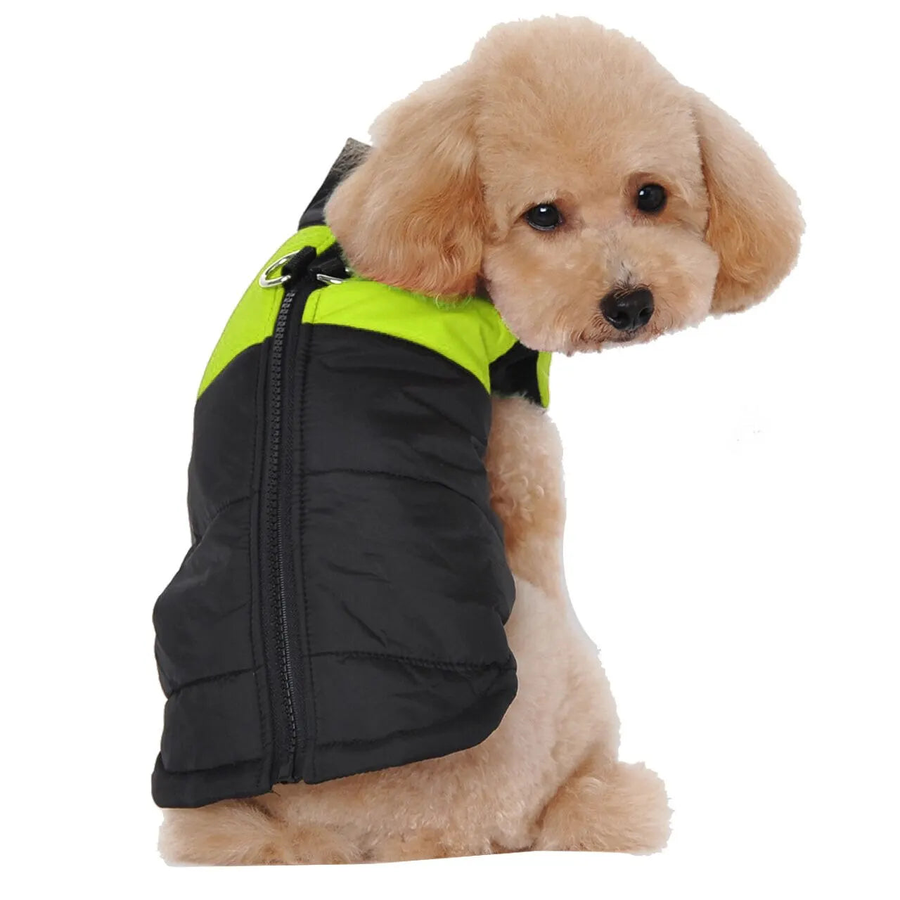 Wonderful Quilted Waterproof Padded Winter Vest for your dog. - Best Canine Bargains