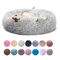 Collection image for: Mantas y camas para cachorros
