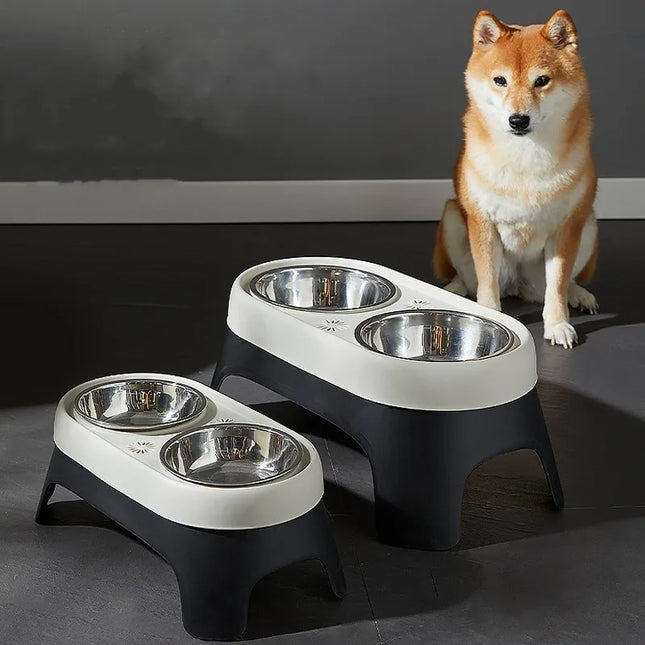 LMZOE Elevated Dog Feeder