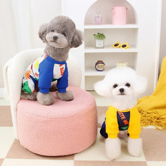 Suéter de malla para cachorros de primavera y verano