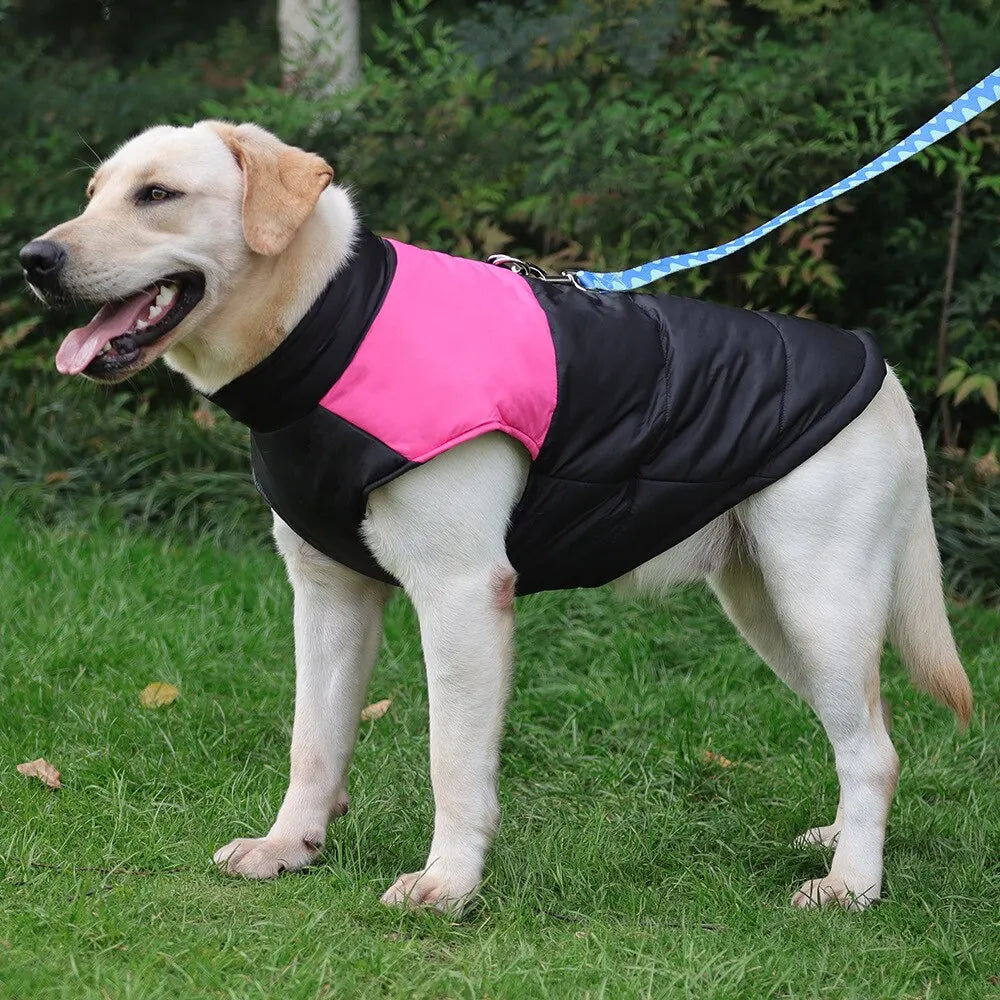 Wonderful Quilted Waterproof Padded Winter Vest for your dog. - Best Canine Bargains