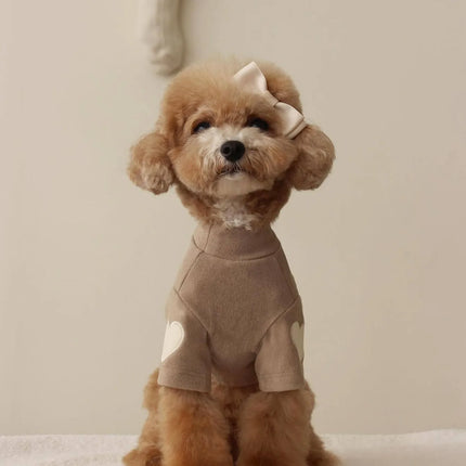 Bear Winter Dog Hoodie