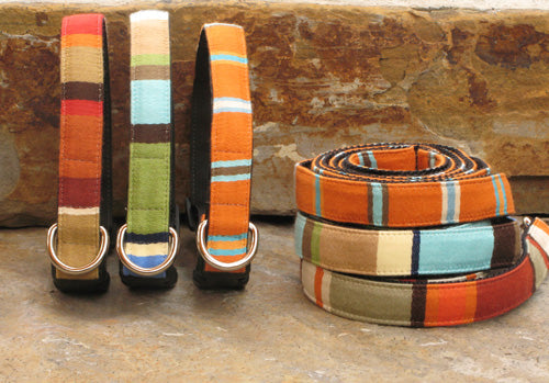 Performance Collars & Leashes